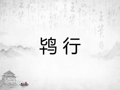 鸨行