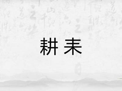 耕耒