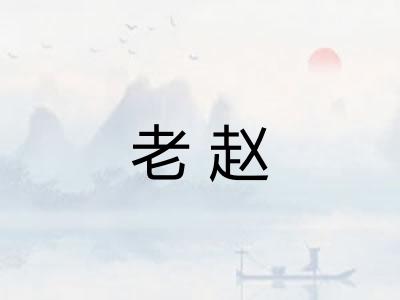 老赵