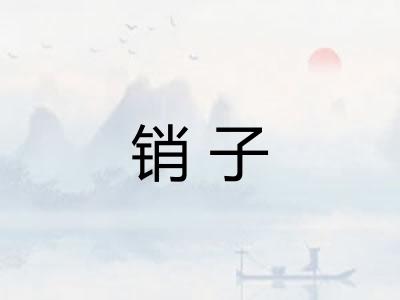 销子