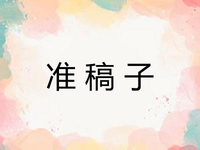 准稿子