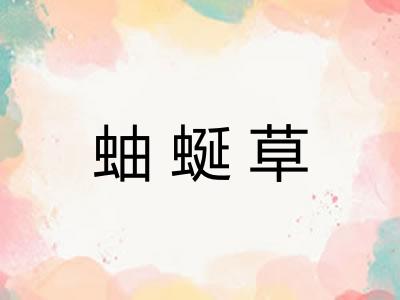 蚰蜒草