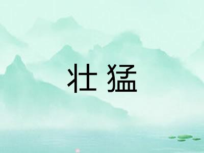 壮猛