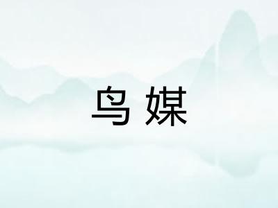 鸟媒