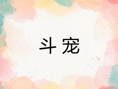斗宠