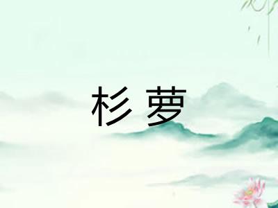 杉萝