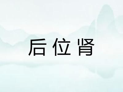 后位肾