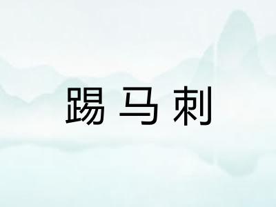 踢马刺