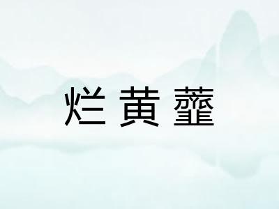 烂黄虀
