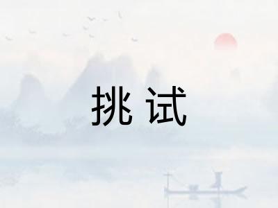 挑试