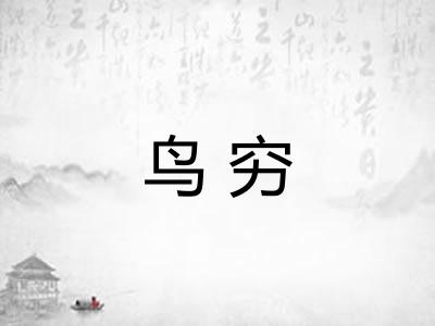 鸟穷