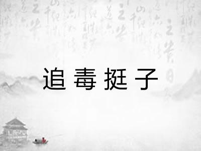 追毒挺子