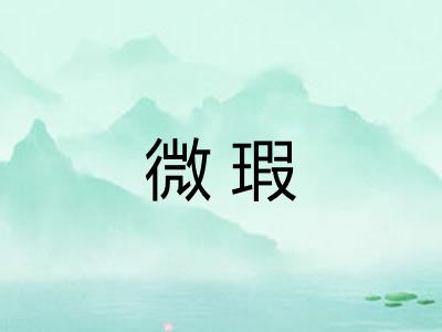 微瑕