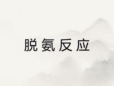 脱氨反应