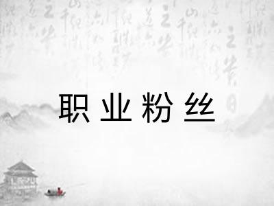 职业粉丝