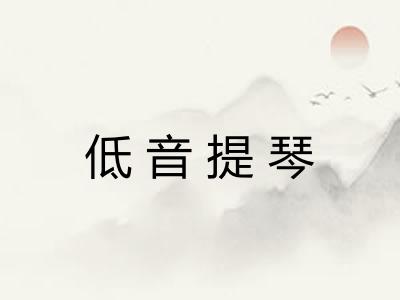 低音提琴