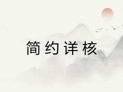 简约详核