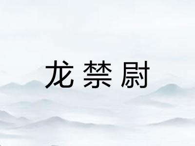 龙禁尉