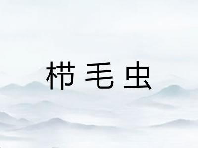 栉毛虫