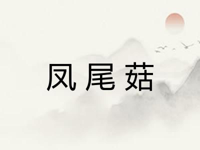 凤尾菇