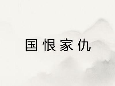 国恨家仇