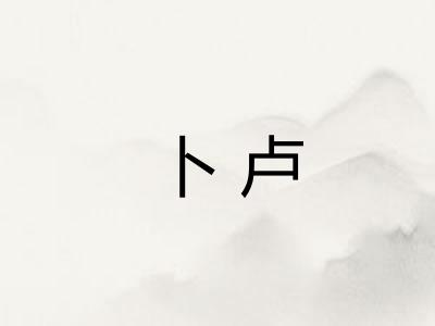 卜卢