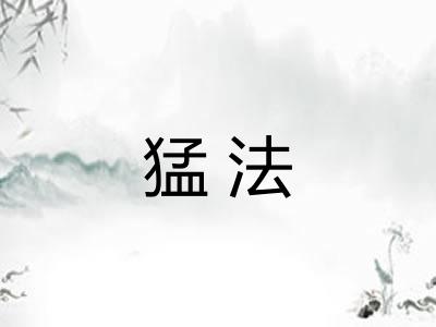 猛法