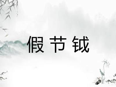 假节钺