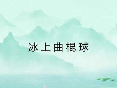 冰上曲棍球