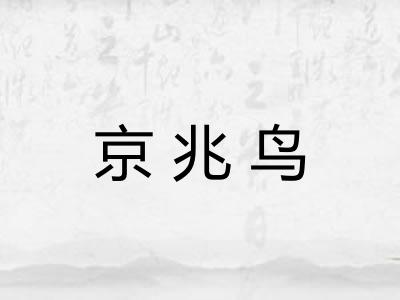 京兆鸟