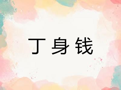 丁身钱