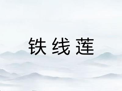 铁线莲
