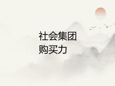 社会集团购买力