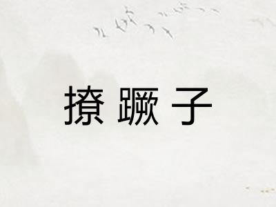 撩蹶子
