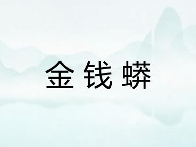 金钱蟒