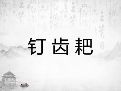 钉齿耙