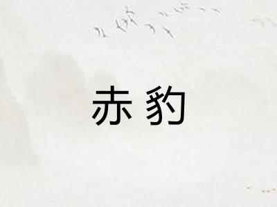 赤豹