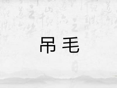吊毛