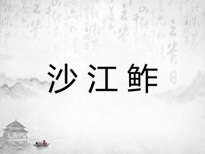 沙江鲊