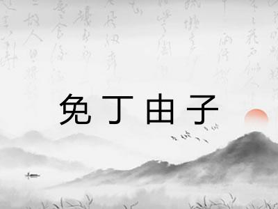 免丁由子