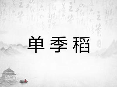 单季稻