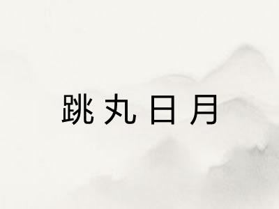 跳丸日月