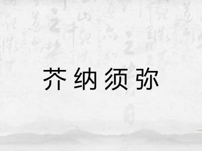 芥纳须弥