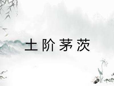 土阶茅茨