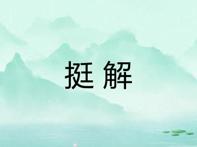 挺解