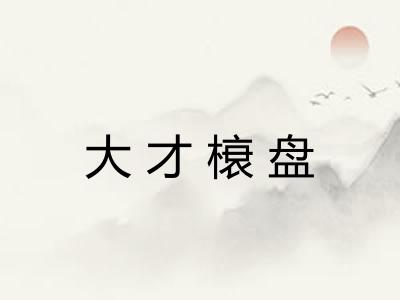 大才榱盘