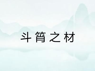 斗筲之材
