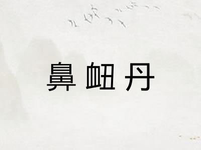 鼻衄丹