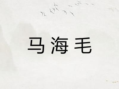 马海毛