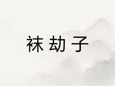 袜劫子
